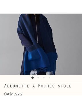Hermes cashmere stole